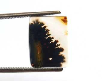 Dendritic Agate Cabochon, Dendritic Agate, Agate Cabochon, Dendrite Agate Cabochon, Scenic Dendritic Agate Cabochon, Agate Gemstone Cabochon
