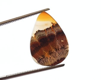Dendritic Agate Cabochon, Dendritic Agate, Agate Cabochon, Dendrite Agate Cabochon, Scenic Dendritic Agate Cabochon, Agate Gemstone Cabochon