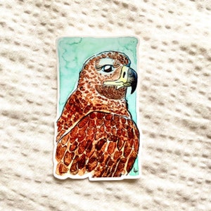 Autocollant vinyle aquarelle aigle