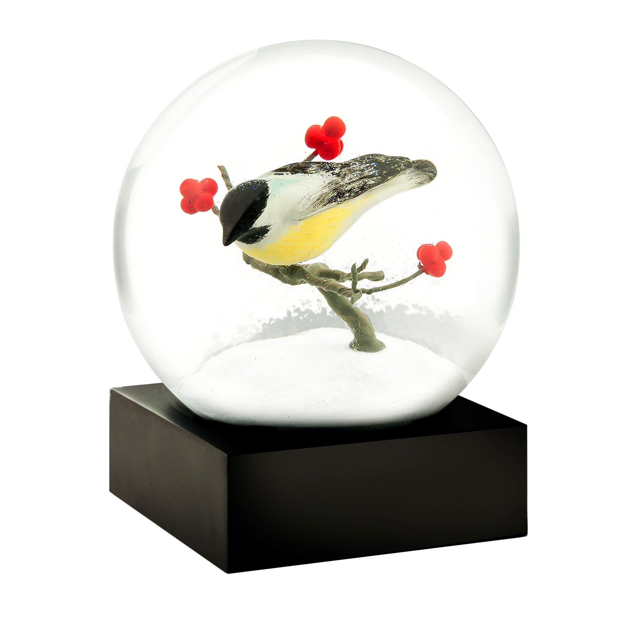 Chickadee Bird Snow Globe by CoolSnowGlobes® Bird Watcher Etsy