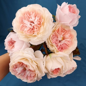 May include: A bouquet of six delicate, paper roses in shades of pink and white. The roses are arranged in a cluster, with the stems hidden from view.