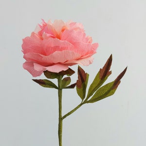 Pfingstrose aus Crepe-Papier