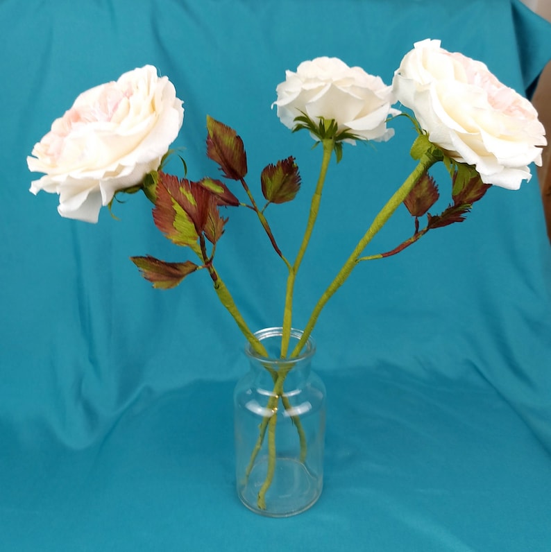 May include: Three white roses with pink edges in a clear glass vase. The roses have green stems and brown leaves. The vase is on a turquoise blue surface.