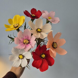 May include: A bouquet of eight paper flowers in various colors, including red, pink, yellow, and white. The flowers are arranged in a hand-held bouquet.