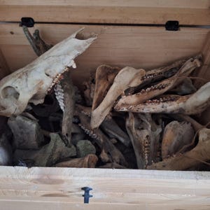 SCATOLA MISTERIOSA XL