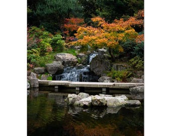 Holland Park Travel Print, Travel Poster of Holland Park, England, London Art, London Gift, Wall Art, Nature posters