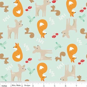 Good Natured Main Mint by Riley Blake Designs 1/2 ヤード 100% デザイナー コットン生地 by Marin Sutton C4080-MINT