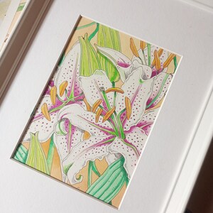 Acquerello originale Lilium Musquadet, pezzo unico, acquerello botanico, arte da regalare