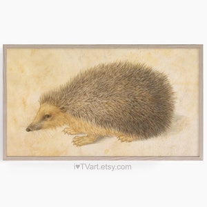 Samsung Frame TV Art Hedgehog tv Screensaver Cute Animal Frame TV Nature Kids Room Frame TV Art Nursery tv screensaver Nature Print