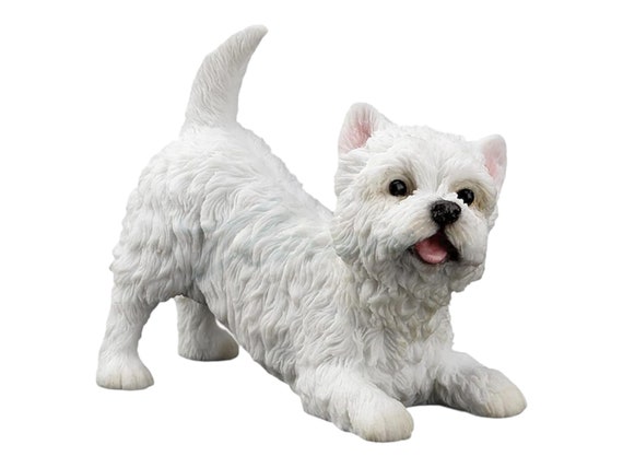 Highland maltese hotsell
