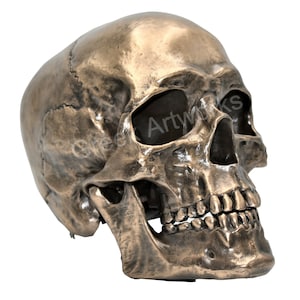 Skull with movable jaw Cold Cast Bronze & Resin Sculpture Statue