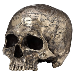 Puede incluir: Una escultura de cráneo de color bronce con un mapa de América del Norte grabado en la parte superior del cráneo. El mapa incluye varios lugares y fechas, como Labrador Gamez 1525, Charlesyout 1362, Hondum 1502 y Grees 982.