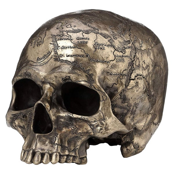 Craniumography Skull Old Treasure Map Décor Cold Cast Bronze & Resin Statue Sculpture