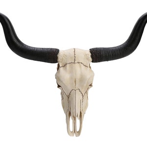 longhorn Buffalo Head Animal Skull Wall Trophy Bonded Marble Polyresin Decorative Sculpture