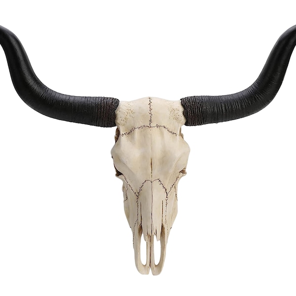 Longhorn Tête de Buffle Animal Crâne Mur Trophée Marbre Collé Polyrésine Sculpture Décorative