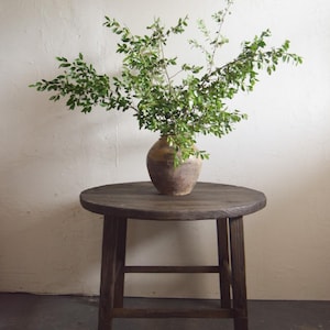 May include: A round wooden table with a dark brown finish and three legs. A vase with a green leafy plant sits on the table.