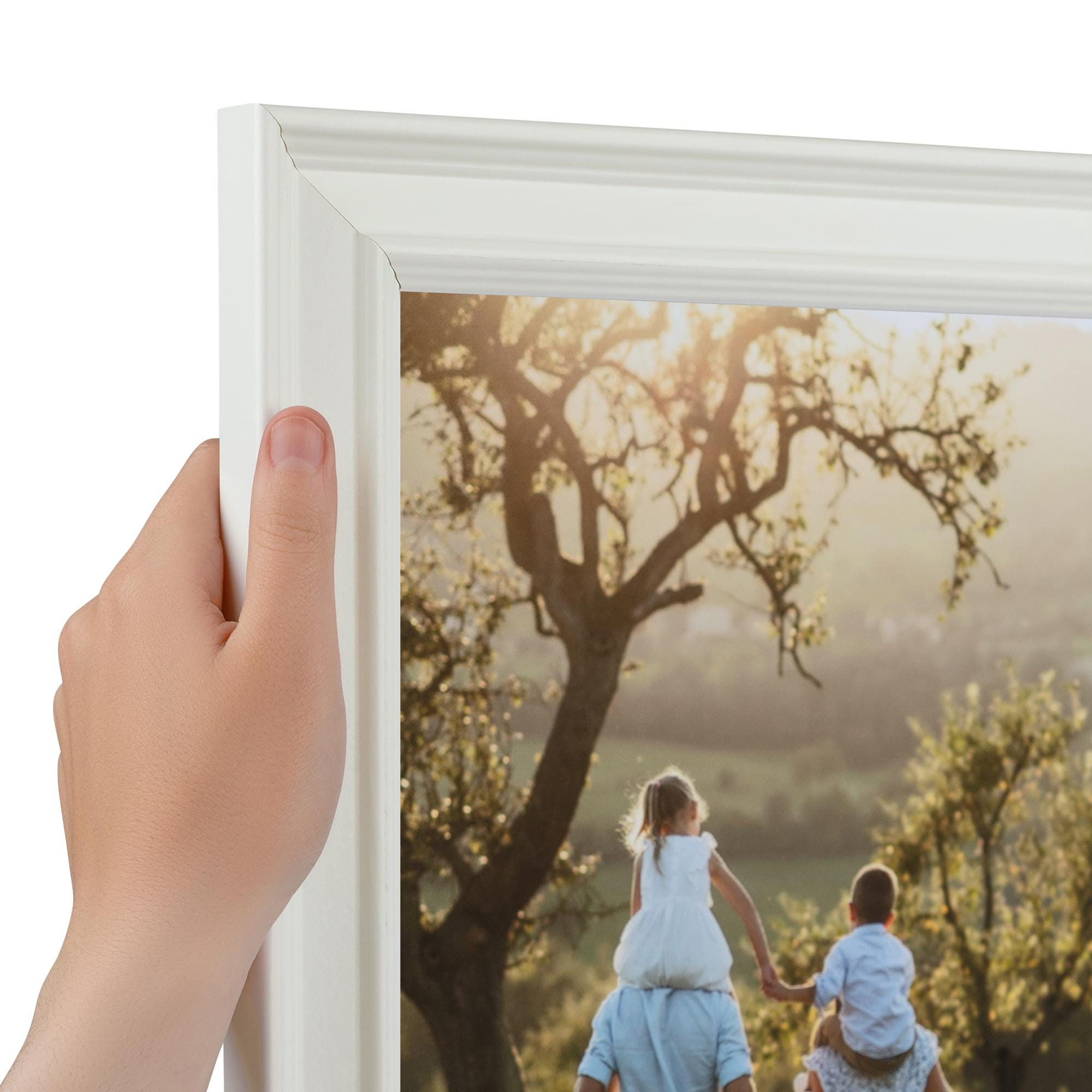20x28 Inch Picture Frame, Poster Frame, MDF Picture Frame, Plexi