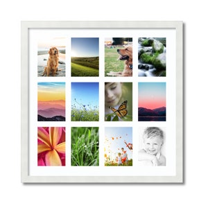 May include: A white picture frame with 12 openings for photos. The frame is on a white background. The photos are of a dog, a field, a sunset, a butterfly, a flower, and a child.
