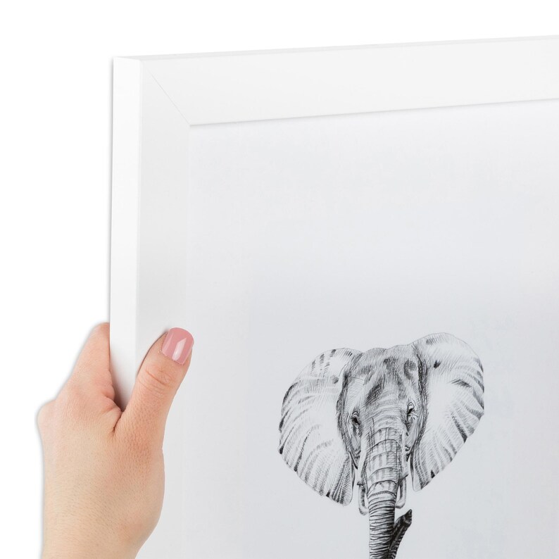 Puede incluir: Una pieza de arte mural enmarcada que presenta un boceto a l&aacute;piz en blanco y negro de una cabeza de elefante. La obra est&aacute; encerrada en un marco de madera blanca limpia con un borde ancho, destacando el sombreado y las l&iacute;neas detalladas.