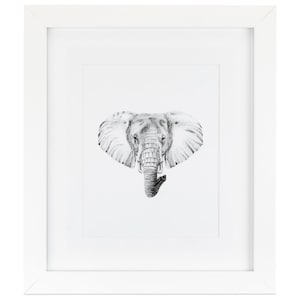 May include: A black and white pencil drawing of an elephant's head. The elephant is facing forward with its trunk curled up. The drawing is framed in a white frame.