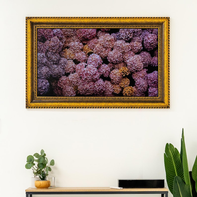 K&ouml;nnte beinhalten: Gerahmter Kunstdruck mit einem Nahaufnahme-Motiv von rosa und lila Hortensien. Das Kunstwerk ist in einem goldfarbenen, verzierten Rahmen gefasst. Es h&auml;ngt an einer wei&szlig;en Wand &uuml;ber einem Holztisch.