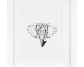May include: A black and white pencil drawing of an elephant's head, framed in a white frame.
