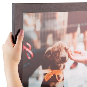 Puede incluir: Un marco de fotos de madera de color marr&oacute;n oscuro que contiene una fotograf&iacute;a de un cachorro de color marr&oacute;n claro con una cinta de color melocot&oacute;n atada al cuello. El cachorro es acariciado por una mano y el fondo muestra figuras borrosas.