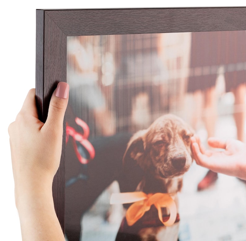 Puede incluir: Un marco de fotos de madera de color marr&oacute;n oscuro que contiene una fotograf&iacute;a de un cachorro de color marr&oacute;n claro con una cinta de color melocot&oacute;n atada al cuello. El cachorro es acariciado por una mano y el fondo muestra figuras borrosas.