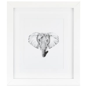 May include: A black and white pencil drawing of an elephant's head. The elephant is facing forward with its trunk curled up. The drawing is framed in a white frame.