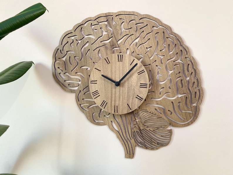 Puede incluir: Un reloj de pared de madera con forma de cerebro humano con n&uacute;meros romanos en la esfera.