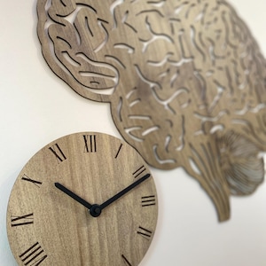 Puede incluir: Un reloj de madera con n&uacute;meros romanos en un fondo marr&oacute;n claro. El reloj es redondo y tiene manecillas negras. El reloj est&aacute; montado en una pared blanca con un recorte de cerebro de madera detr&aacute;s.