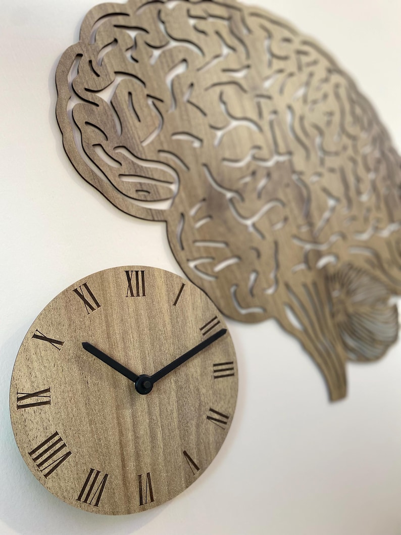Puede incluir: Un reloj de madera con n&uacute;meros romanos en un fondo marr&oacute;n claro. El reloj es redondo y tiene manecillas negras. El reloj est&aacute; montado en una pared blanca con un recorte de cerebro de madera detr&aacute;s.