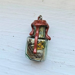 Può includere: Un piccolo ciondolo a forma di bottiglia di vetro con un sigillo di cera rossa e fiori ed erbe secche all'interno. La bottiglia ha una catena d'argento attaccata alla parte superiore.