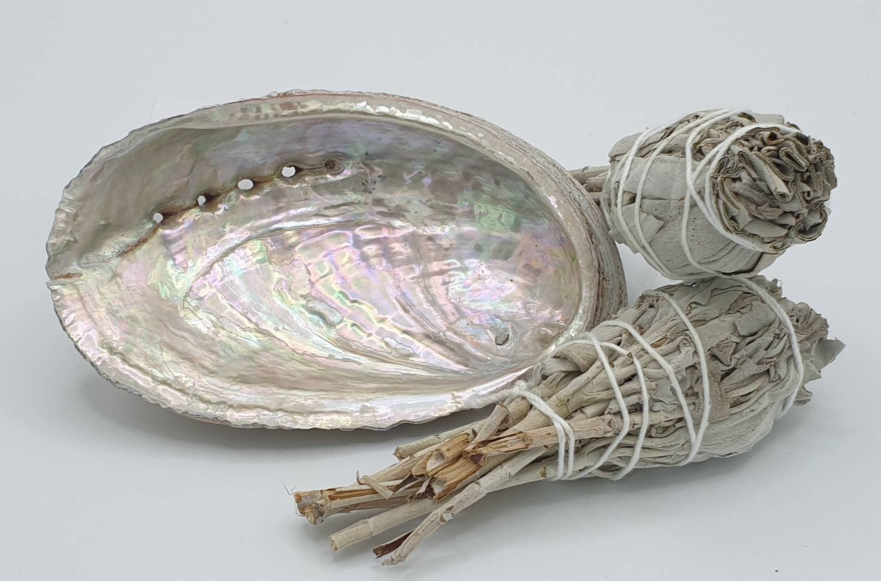 2 Sauges Blanches de Californie Torche et Coquille Ormeau Pour Fumigation Purification