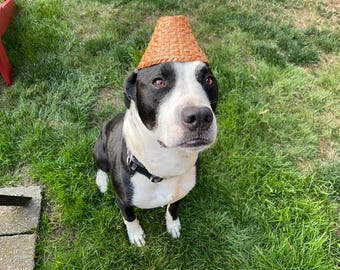 Traditional Salish style cedar hat