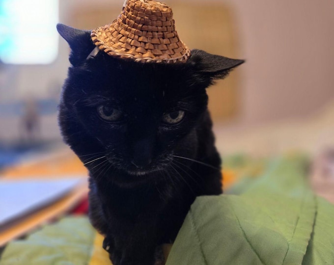 Traditional Cedar Woven Hat ... for Your Cat! - Etsy
