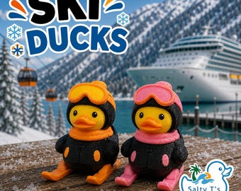 Ski Cruise Duck, 3D Printed Cruising Ducks Hide and Find Game, Cruise Ship Gift Souvenir
