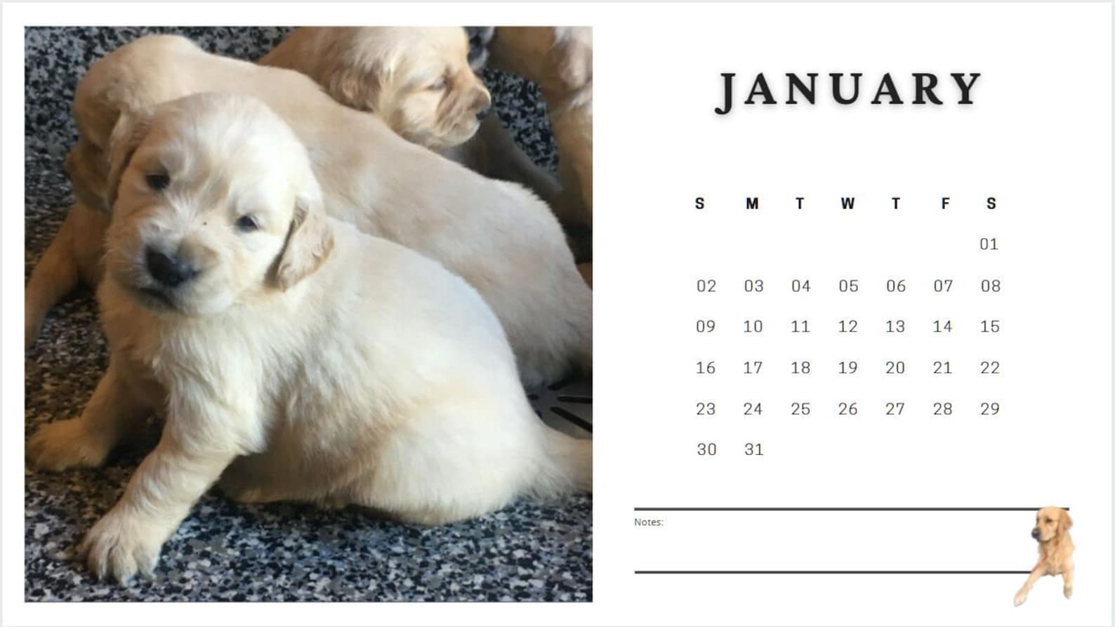 2022 Golden Retriever Calendar. Brother and best friend to my | Etsy