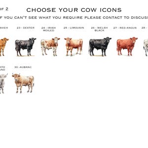 May include: A chart with watercolor illustrations of different cow breeds. The breeds are labeled with their names, including Gelbvieh, Dexter, Irish Moiled, Limousin, Welsh Black, Red Angus, White Park, White Highland, and Aubrac.