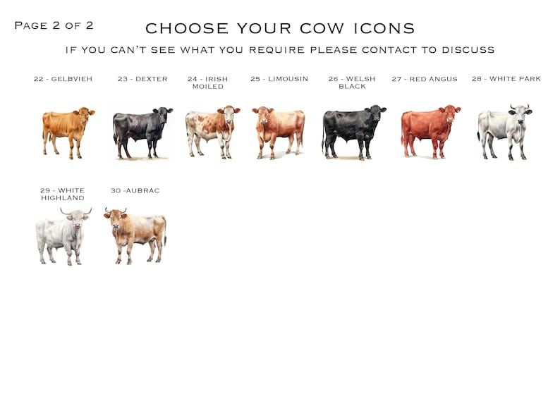 May include: A chart with watercolor illustrations of different cow breeds. The breeds are labeled with their names, including Gelbvieh, Dexter, Irish Moiled, Limousin, Welsh Black, Red Angus, White Park, White Highland, and Aubrac.