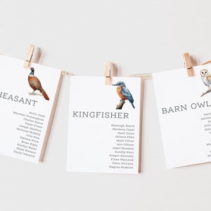 Bird Themed Table Plan Cards | Wedding Table Plan Cards |  Bird Spotting Wedding | Aviary Animal Table Names Illustrated Seating Plan Cards