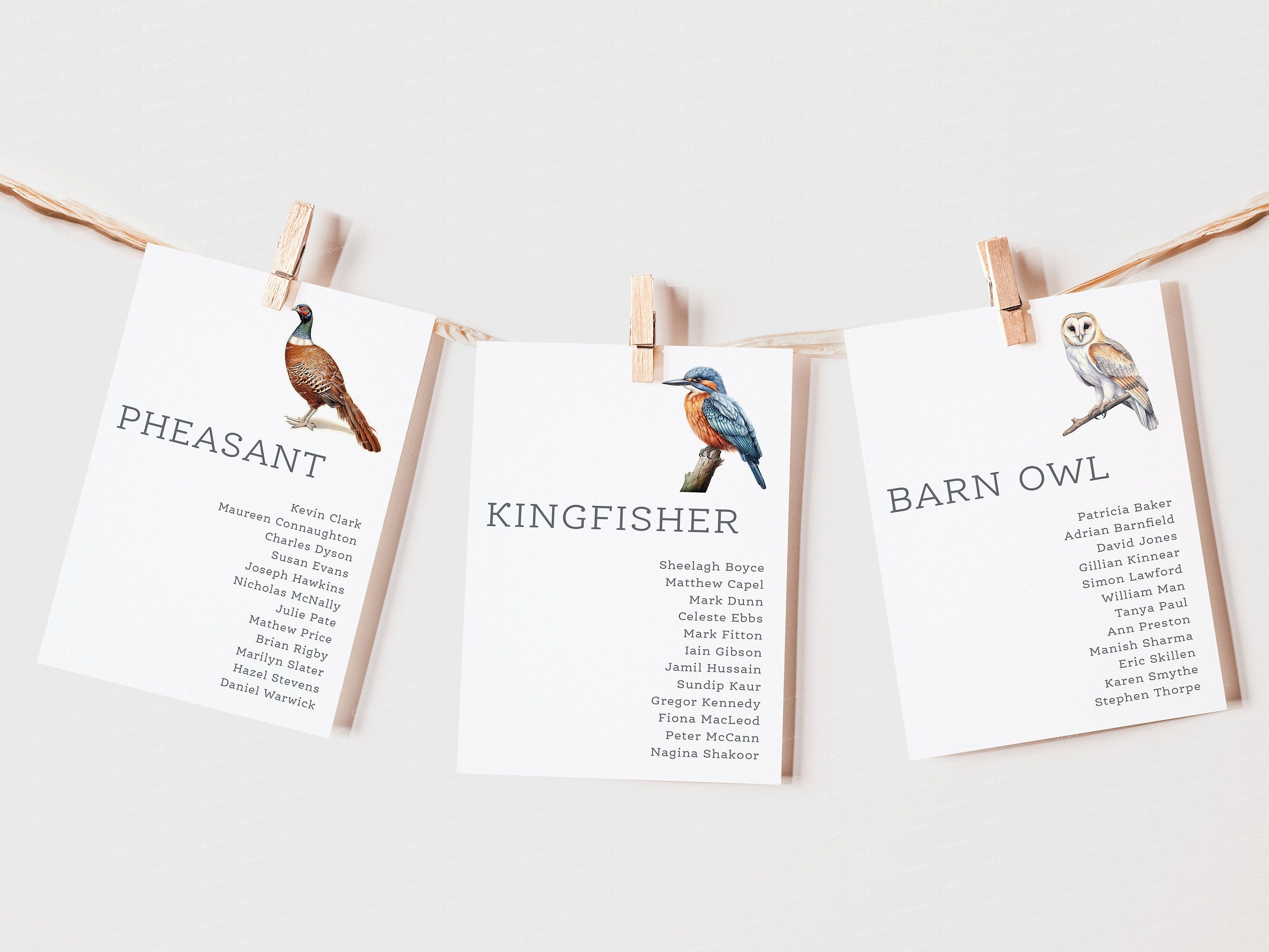 Bird Themed Table Plan Cards | Wedding Table Plan Cards |  Bird Spotting Wedding | Aviary Animal Table Names Illustrated Seating Plan Cards