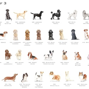 以下が含まれることがあります： 様々な犬種の水彩画が描かれたチャート。各犬種は番号と名前でラベル付けされています。チャートは3ページに分かれており、これは1ページ目です。