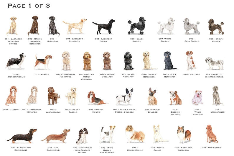 以下が含まれることがあります： 様々な犬種の水彩画が描かれたチャート。各犬種は番号と名前でラベル付けされています。チャートは3ページに分かれており、これは1ページ目です。