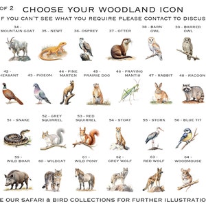 May include: A page from a woodland icon guide with illustrations of animals and birds. The page includes a moose, mountain goat, newt, osprey, otter, barn owl, barred owl, great horned owl, peacock, pheasant, pigeon, pine marten, prairie dog, praying mantis, rabbit, raccoon, robin, slow worm, snake, grey squirrel, red squirrel, stoat, stork, blue tit, toad, weasel, wild boar, wildcat, wild pony, grey wolf, red wolf, woodmouse, and woodpecker.