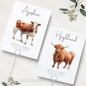 May include: Two table cards with illustrations of cows. The top card features a brown and white Ayrshire cow with the text "Ayrshire" and "Arthur & Ophelia The Old Hay Barn, Cotswolds Saturday 25th August 2027". The bottom card features a brown Highland cow with the text "Highland" and "Arthur & Ophelia The Old Hay Barn, Cotswolds Saturday 25th August 2027".