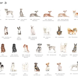 以下が含まれることがあります： 24種類の異なる犬種の水彩画イラスト。それぞれにユニークな名前と品種ラベルが付いています。犬は座っている、立っている、横になっているなど、さまざまなポーズで描かれています。イラストはリアルなスタイルで描かれており、毛並み、目、表情に細心の注意が払われています。