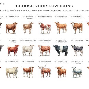 May include: A chart with illustrations of 21 different cow breeds. Each cow is labeled with its breed name, such as Aberdeen Angus, Brown Swiss, and Jersey.