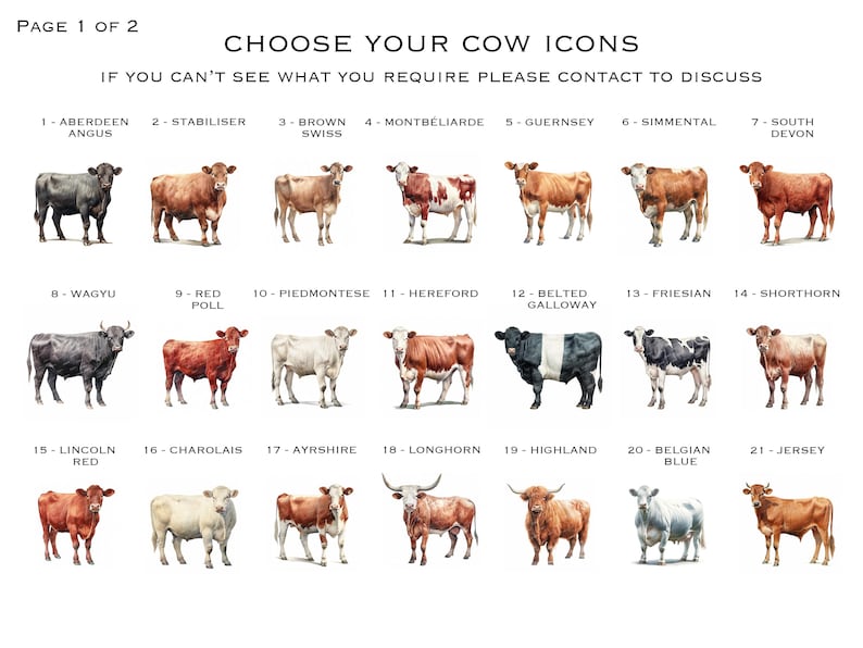 May include: A chart with illustrations of 21 different cow breeds. Each cow is labeled with its breed name, such as Aberdeen Angus, Brown Swiss, and Jersey.