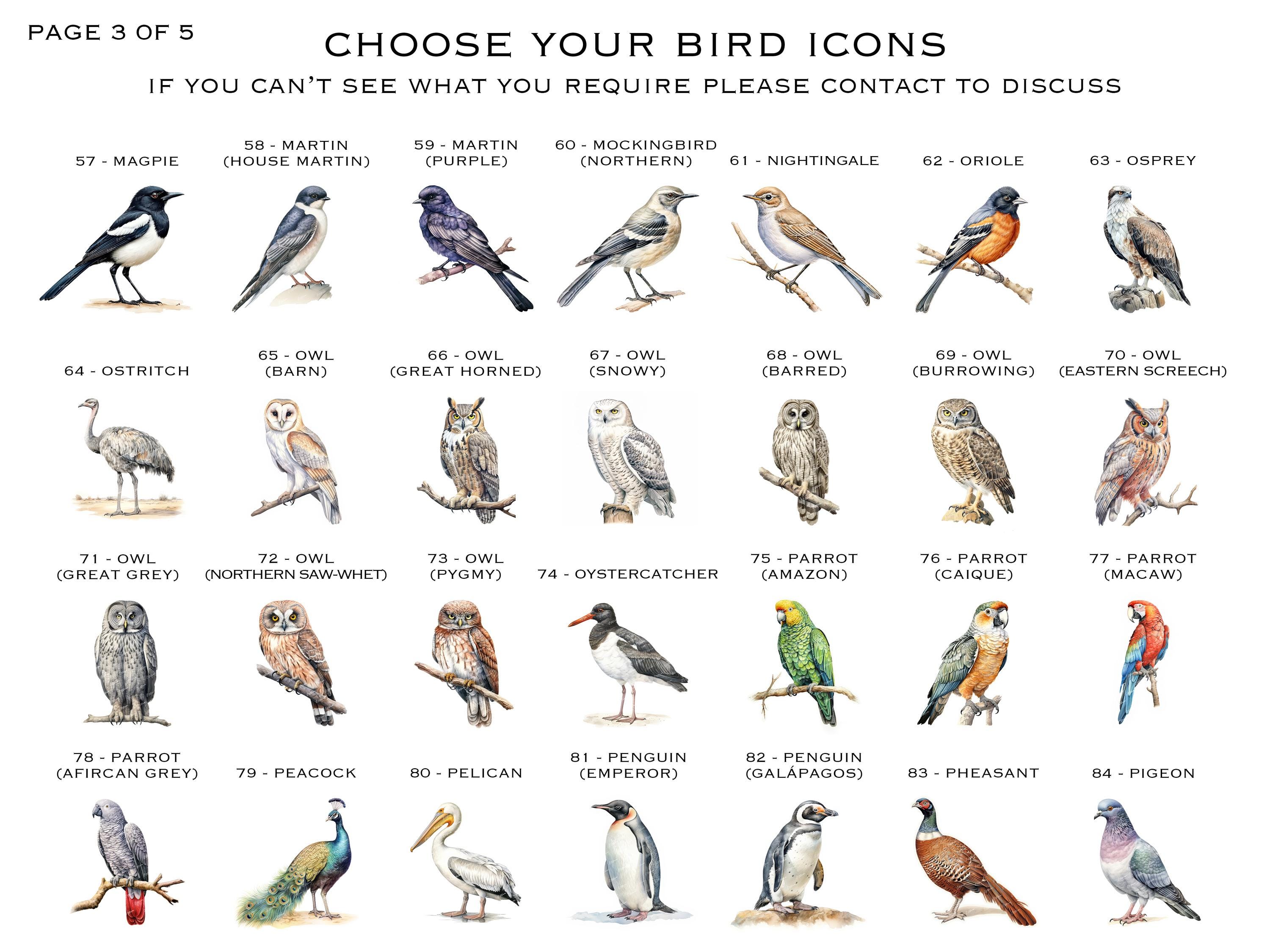 Bird Themed Table Plan Cards | Wedding Table Plan Cards | Bird Spotting ...
